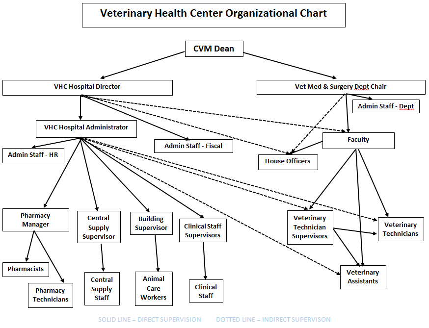 Ambulatory Surgery Center Organizational Chart