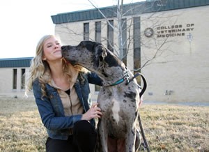 Louie kisses his owner, second-year veterinary student Brittany Hofman, while playing outside the MU College of Veterinary Medicine. “After the surgery he had to relearn how to use his tongue, but he figured it out quickly and shows his gratitude by giving kisses through his ‘tongue hole,’” Hofman said.