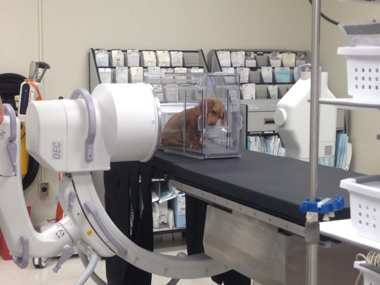 What is Fluoroscopy?