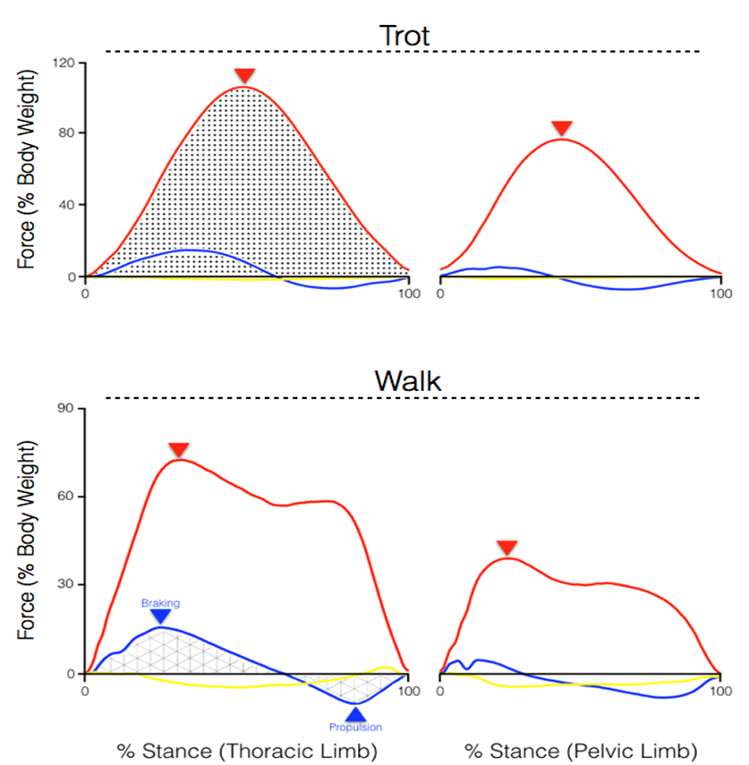 What is Kinetic Analysis?