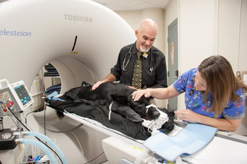 Positron Emission Tomography (PET/CT)