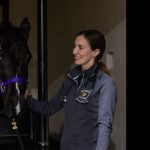 Horse trained for equine yoga receives world-class care at Mizzou