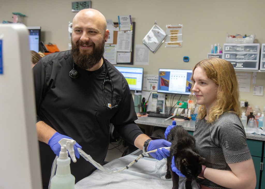 a man and woman ultrasound a cat