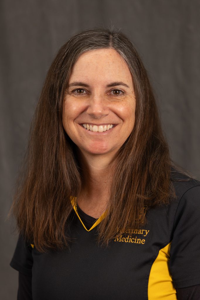 Alison LaCarrubba