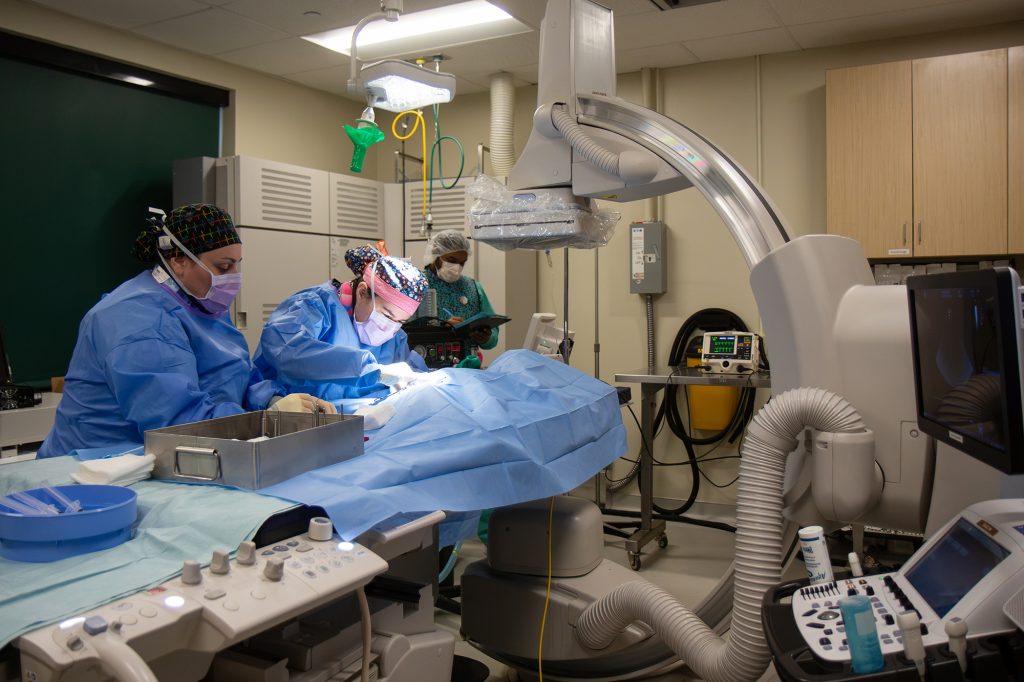 cardiology team doing a procedure